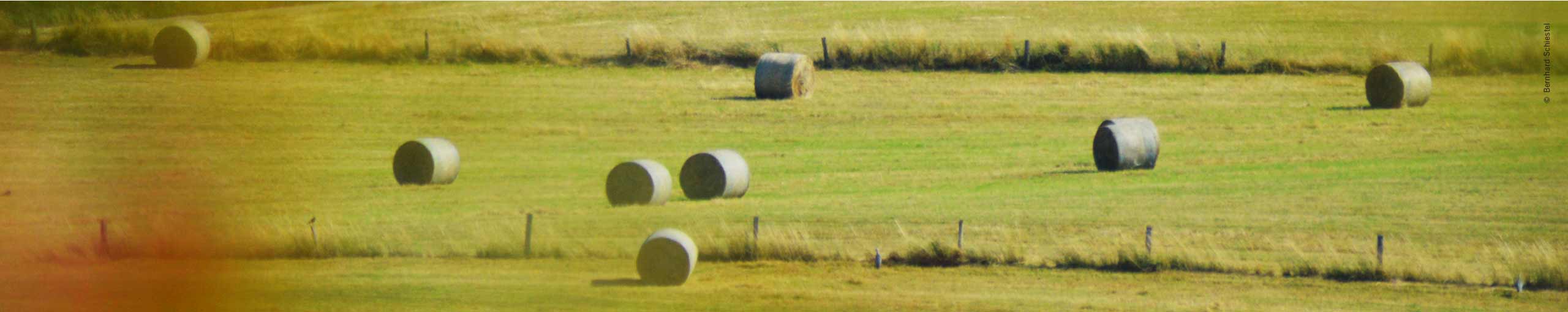 kratkey_header_sommer_06.jpg